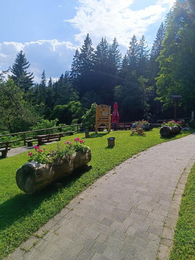 Hostel Valvasorjev Dom Pod Stolom Zirovnica Exteriér fotografie