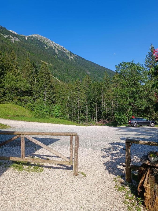 Hostel Valvasorjev Dom Pod Stolom Zirovnica Exteriér fotografie