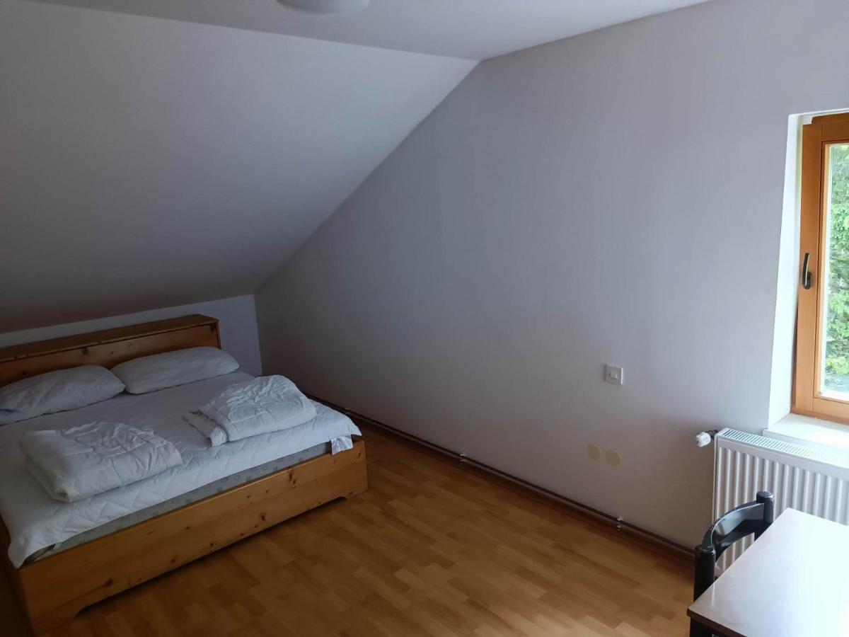 Hostel Valvasorjev Dom Pod Stolom Zirovnica Exteriér fotografie